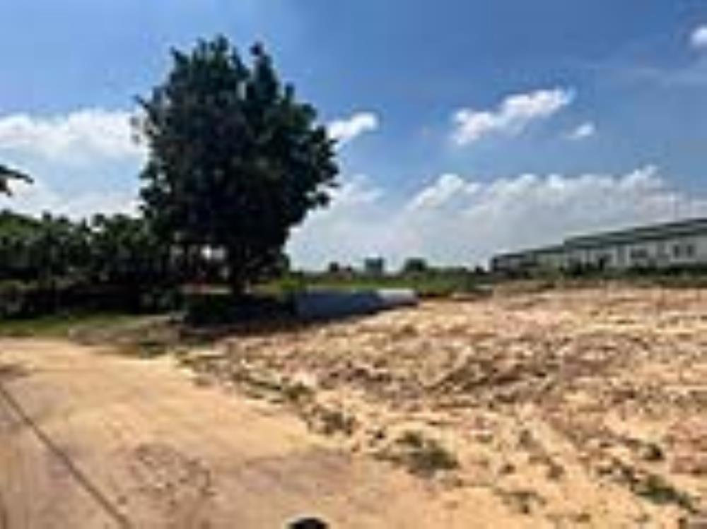SỞ HỮU NGAY 1653M2 ĐẤT CHÍNH CHỦ SHR MẶT TIỀN TRUNG TÂM TÂN UYÊN-BÌNH DƯƠNG2581274