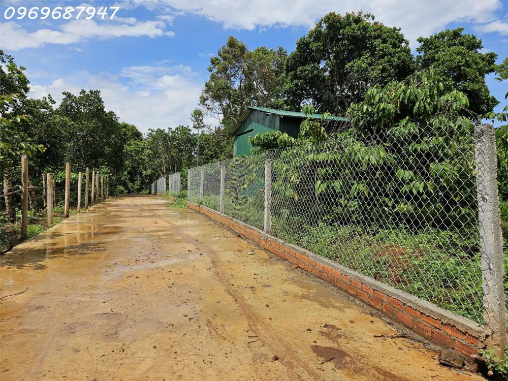 BÁN LÔ ĐẤT 1.7HA - GẦN HỒ SINH THÁI - X.EA KAO-TP.BUÔN MA THUỘT - 450TR/ SÀO2518542