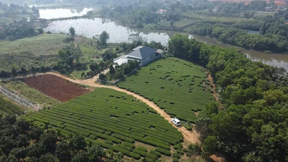 CHÍNH CHỦ CẦN BÁN LÔ ĐẤT 7500m2 XÃ TU VŨ - HUYỆN THANH THUỶ - PHÚ THỌ2355825