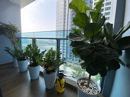 CẦN BÁN CĂN HỘ CHUNG CƯ TẠI QUẬN BÌNH THẠNH - TP HỒ CHÍ MINH2571467