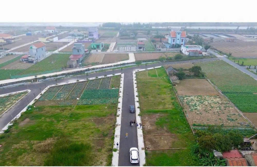 GIÁ SỐC GIÁ RÉ CHO MỘT LÔ ĐẤT BIỂN QUẤT LÂM NAM ĐỊNH2525413