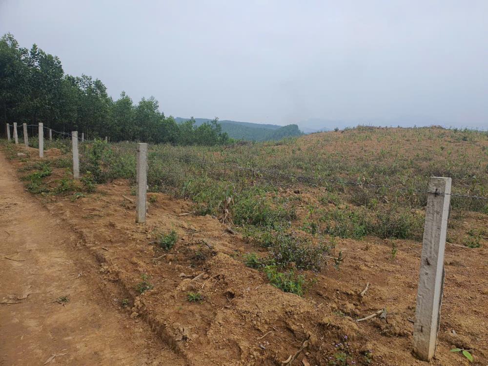 ĐẤT RỪNG ĐẸP - GIÁ TỐT - Vị Trí Đắc Địa Tại Xóm Hồng, Xã Bảo Hiệu, Huyện Yên Thủy, Tỉnh Hoà Bình2625247