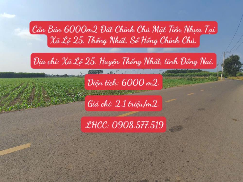 Cần Bán 6000m2 Đất Chính Chủ Mặt Tiền Nhựa Tại Xã Lộ 25, Thống Nhất, Sổ Hồng Chính Chủ.2494458