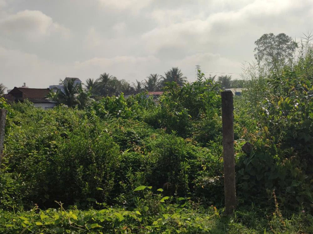 CHÍNH CHỦ CẦN BÁN LÔ ĐẤT VỊ TRÍ ĐẸP TẠI XÃ THÂN CỬU NGHĨA - H.CHÂU THÀNH - TIỀN GIANG2546242