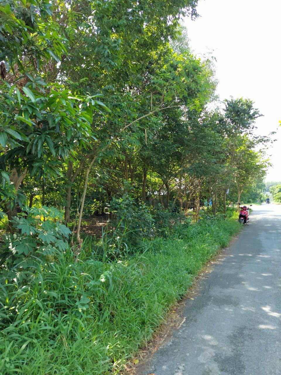 CẦN BÁN ĐẤT Ở:  XÃ TÂN PHÚ TRUNG, H.CỦ CHI, TP. HCM2576229