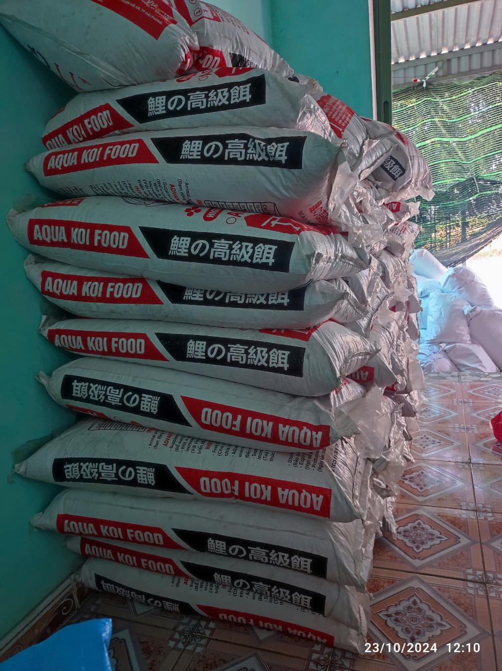 AQUA KOI – CHÌA KHÓA VÀNG CHO HỒ KOI ĐỈNH CAO!2484333