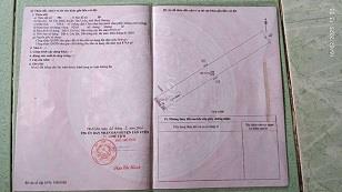 Chính chủ bán 929m2 đất tại Tân Định, Bắc Tân Uyên - Sẵn thổ cư.2446199
