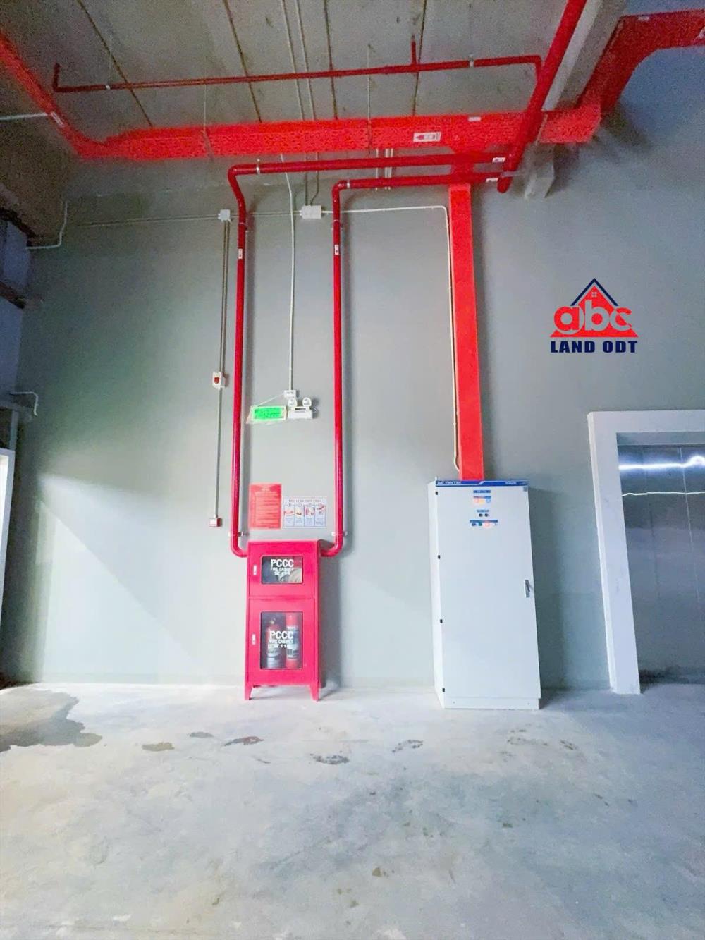 XT475
Cho thuê xưởng Sản xuất hơn 1Ha mới hoàn thành 100% Đạt chuẩn Hạng A nước ngoài technology xanh KCN Nhơn Trạch, tỉnh đồng nai . 

Giá : 4.85 usd/m2 - 5 usd/m2 ( Đã gồm PQL )
----------------------------------------
🌐Thông tin liên quan xưởng :
- Mới 100% Hạng A đạt tiêu chuẩn nước ngoài 
- Tổng diện tích xưởng 10.200m2 gồm 2 xưởng :
+  Xưởng 1: 3.800m2 
+   Xưởng 2 : 6.400m2 

➡️Tiện ích trang thiết bị:
- Trạm Điện Công Xuất Lớn 2500kva 
- Có Dock xuất nhập hàng hoá 
- PCCC auto thẩm duyệt nghiệm thu
- Tường rào BV an ninh hành lang rộng rãi 24 /24

➡️Khu công nghiệp Nhơn Trạch thu hút đầu tư từ nhiều ngành nghề không giống nhau 
* chế tạo vật liệu quy hoạch ,Điện, điện tử
* Sản xuất và sửa chữa xe máy, dòng thiết bị
* Sản xuất, gia công giày da, may mặc
* Sản xuất Chế biến Sp công nghiệp và đồ ăn
* Các ngành công nghiệp khác không gây ô nhiễm
* Sản xuất gia công cơ khí chế tạo máy móc dòng thiết bị, sắt thép 

➡️ HỖ TRỢ GPĐT VỀ Việt Nam!
👉 Hoa hồng cho tất cả những người ra mắt 1/1  
_________________________________
🌎𝑪𝑻𝒀 𝑻𝑵𝑯𝑯 𝑷𝑯𝑨́𝑻 𝑻𝑹𝑰𝑬̂̉𝑵 𝑩𝑫𝑺 𝑨𝑩𝑪 𝑳𝑨𝑵𝑫 .
☎️2352618