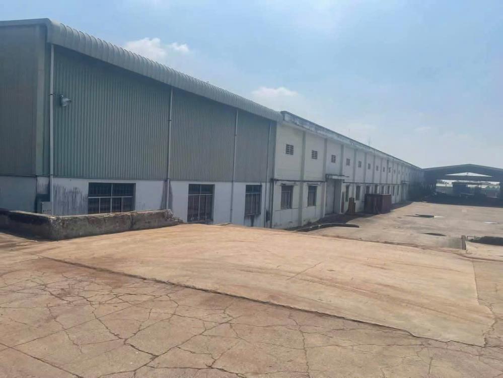 Bán Xưởng Đầu Tư Hoặc Sản Xuất – Uyên Hưng, Tân Uyên, Bình Dương.Xưởng quy mô lớn – Đất SKC đến 2064 – Đang có hợp đồng thuê 2.5 tỷ/tháng!2453086