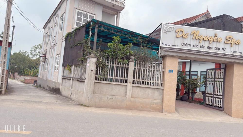 HOA HẬU GIÁ ; TỐT NHẤT THỊ TRƯỜNG THÁI LẠI MINH TRÍ DT -81M FUN THỔ CƯ2599104