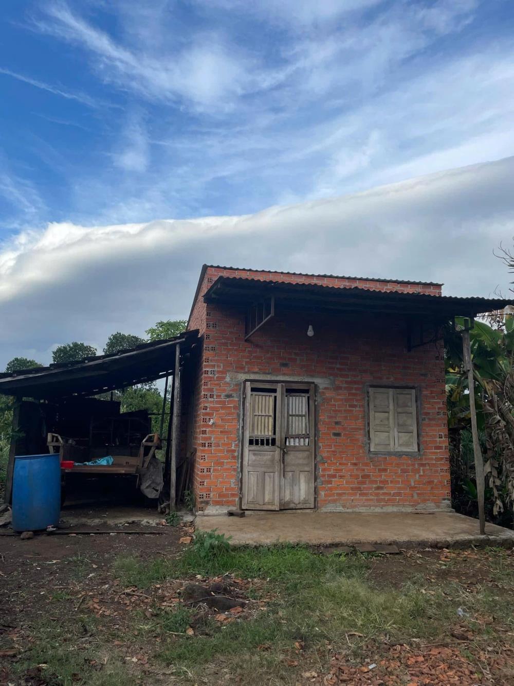 Qúa rẻ 1,1ha đất Hòa Khánh- Buôn Ma Thuột sẵn nguồn cà phê, tiêu cho thu ổn định2437697