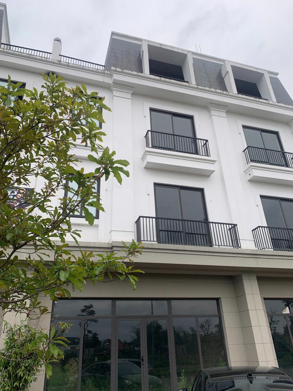 Cần bán Shophouse dự án TNR Star Bắc Giang, Thị trấn Thắng, Hiệp Hòa, Bắc Giang.2574043