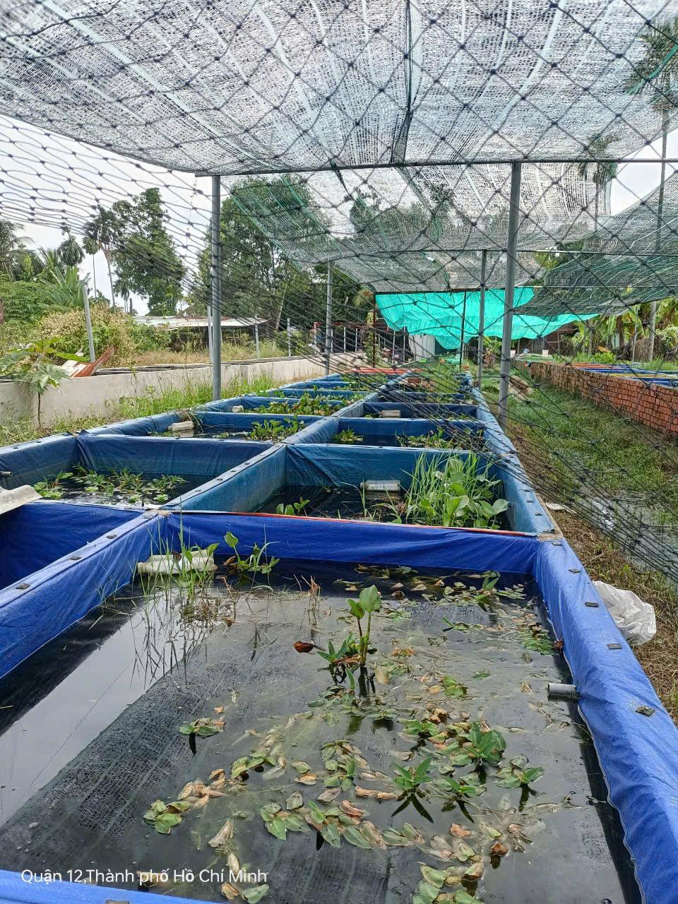 Cần bán gấp lô đất 2337m2 ngay Chợ Cầu, Thạnh Xuân 52, Phường Thạnh Xuân, Q122602206