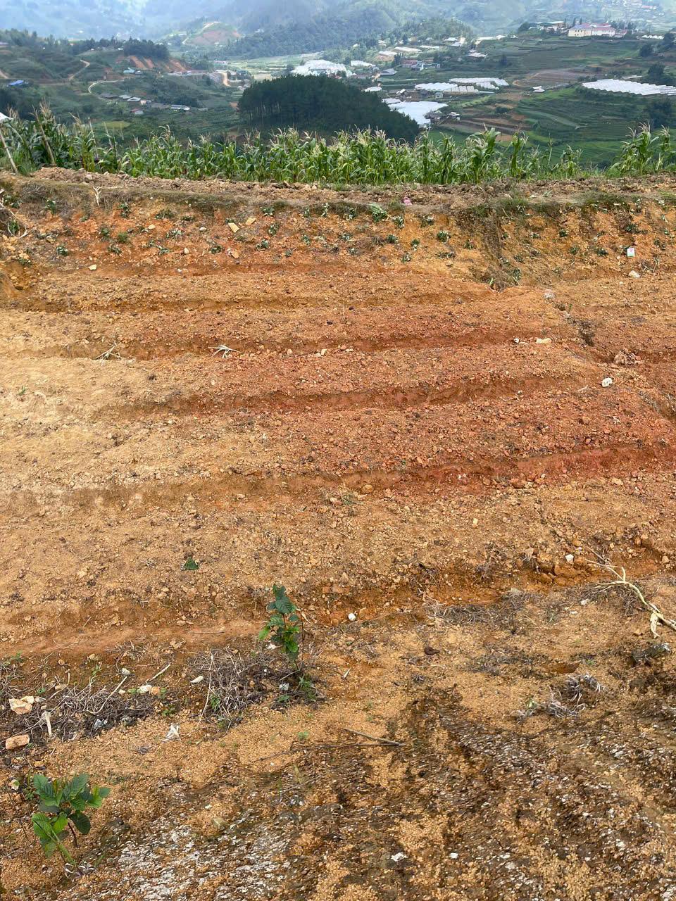 Đất nền tái định cư tại Sapa cần bán gấp, vị trí đẹp, view thung lũng, giá tốt để đầu tư.2425058