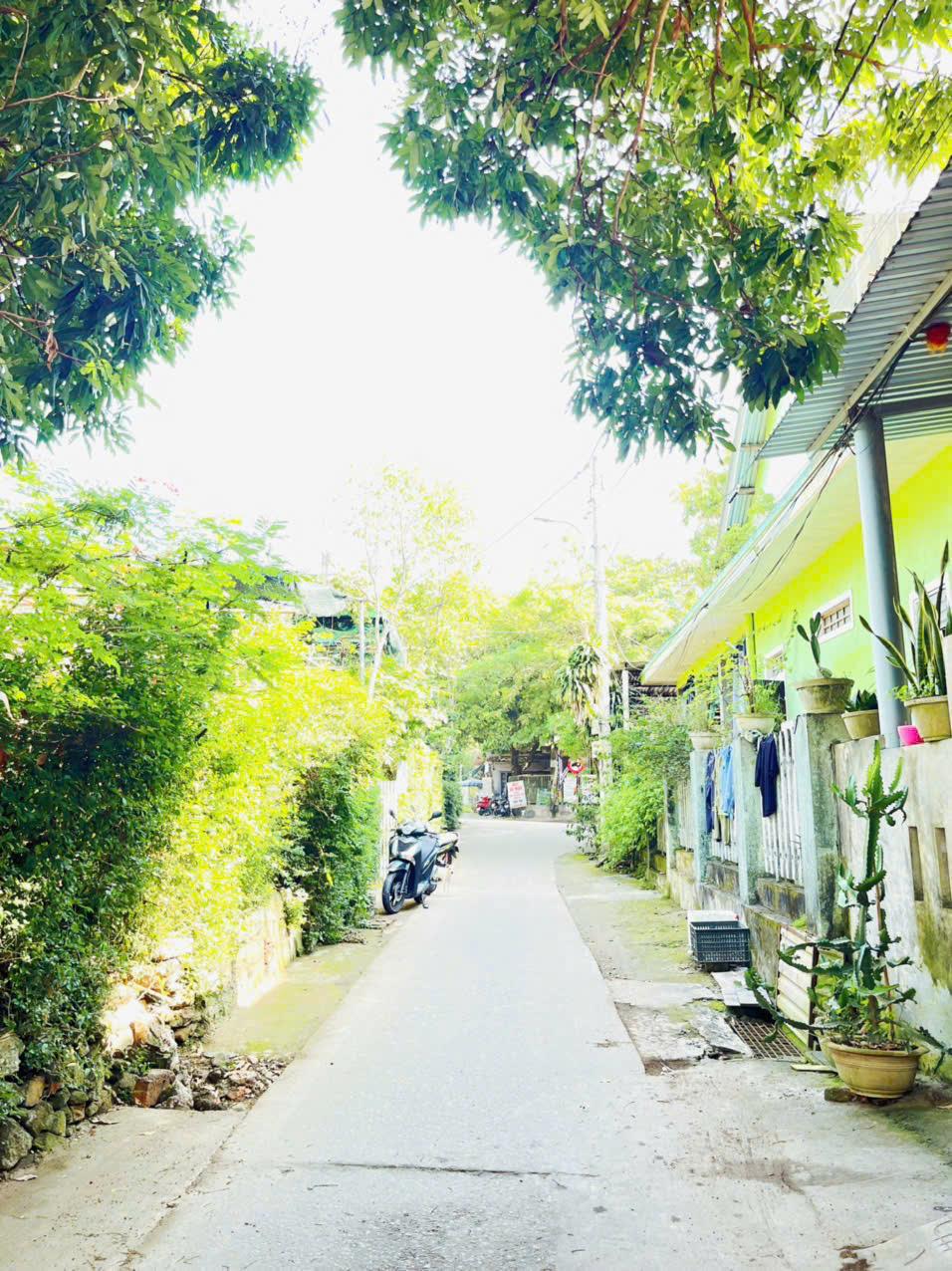 💥 Bán Lô Đất Mặt Tiền Hoài thanh Nối dài Đường Quy Hoạch 13,5m2621579
