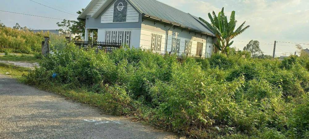 Bán NỀN ĐƯỜNG SỐ 6, KDC ĐÔNG PHÚ Nền đoạn Gần chợ đông phú mới2600279