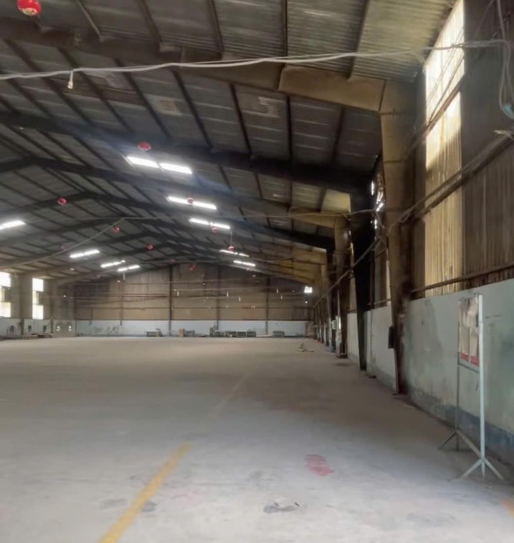 Cho Thuê Xưởng Gỗ 3ha – 2 Mặt Tiền Tại Bình Dương  Trang Bị Máy Móc Gỗ Xuất Khẩu  Giá Từ 2.8 USD/m²2657717