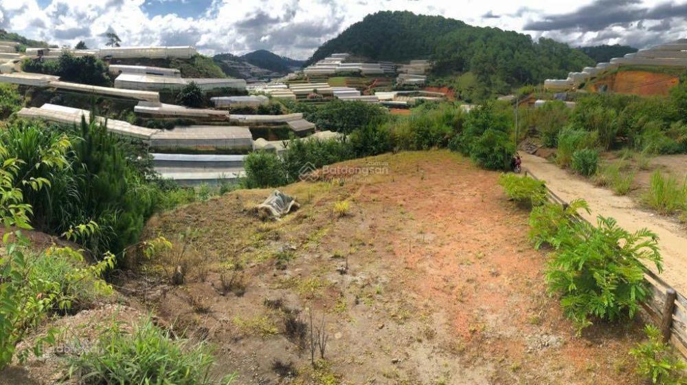 Chính chủ bán 3 lô đất đẹp tại Xuân Thọ, Đà Lạt view cao, khí hậu trong lành2466231
