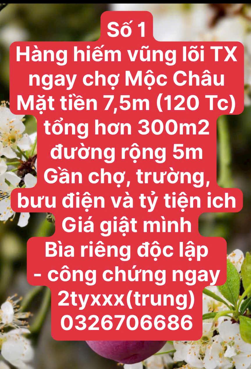 CẦN RA MỘT SỐ MẢNH ĐẤT ĐẸP TẠI MỘC CHÂU2531866