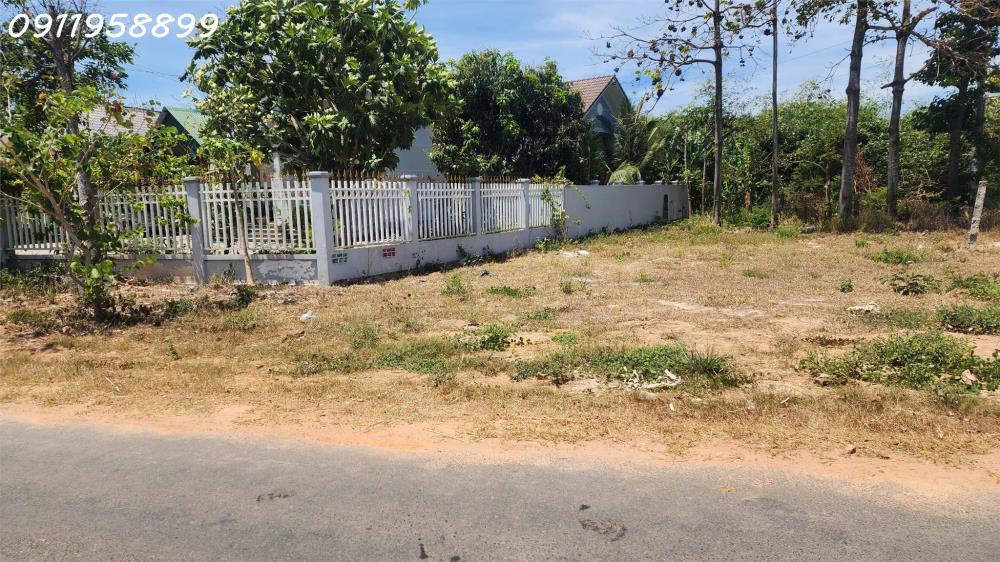 Bán đất thổ cư mặt tiền Đinh Công Tráng, thị xã LaGi gần Biển Tâm Tân giá siêu rẻ2512921