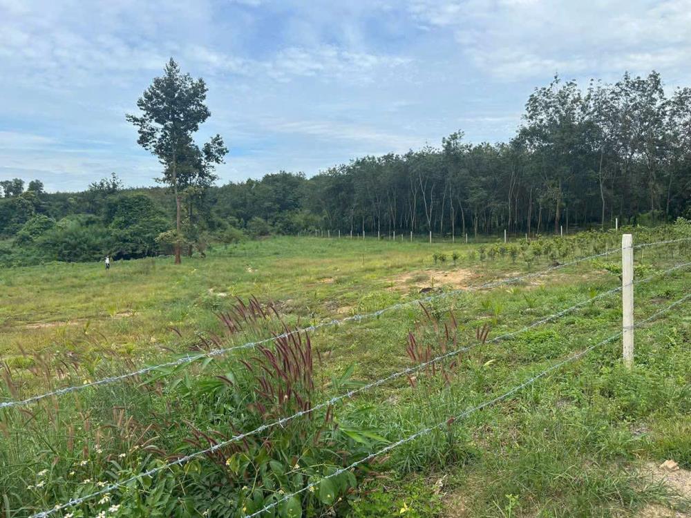 DUY NHẤT Lô Đất  Hơn 6000m2, View Sông Buông Tại Xã An Viễn, Huyện Trảng Bom, Đồng Nai.2662134