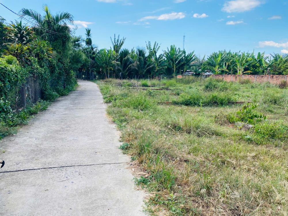 Bán lô đất Diên Phước - Phước Tuy 2 giá rẻ chỉ 699tr, đường thông2618450