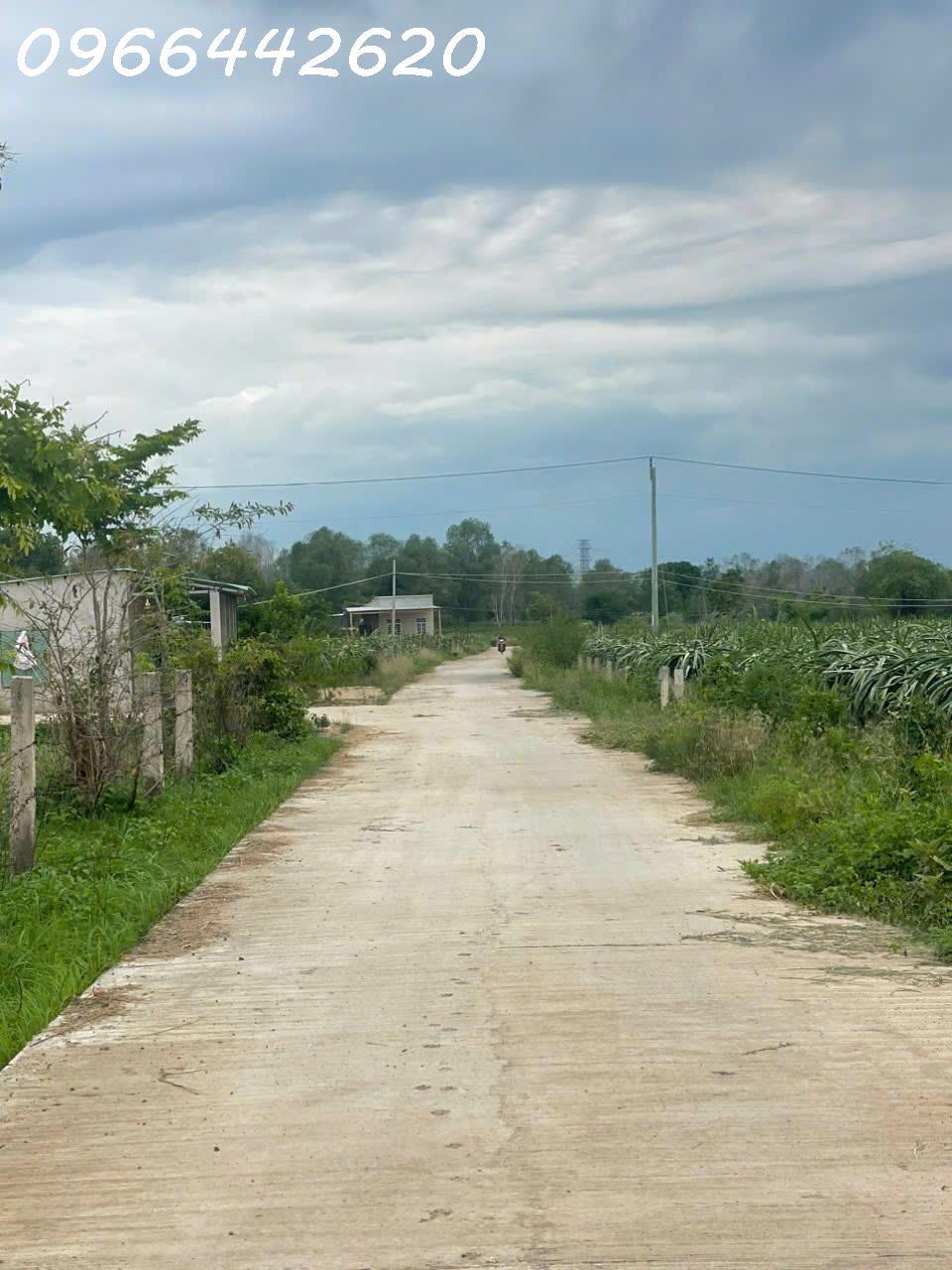 Bán vườn thanh long ruột đỏ, Khu vực đá quý Xã Hồng Liêm, Huyện Hàm Thuận Bắc, Bình Thuận2454864