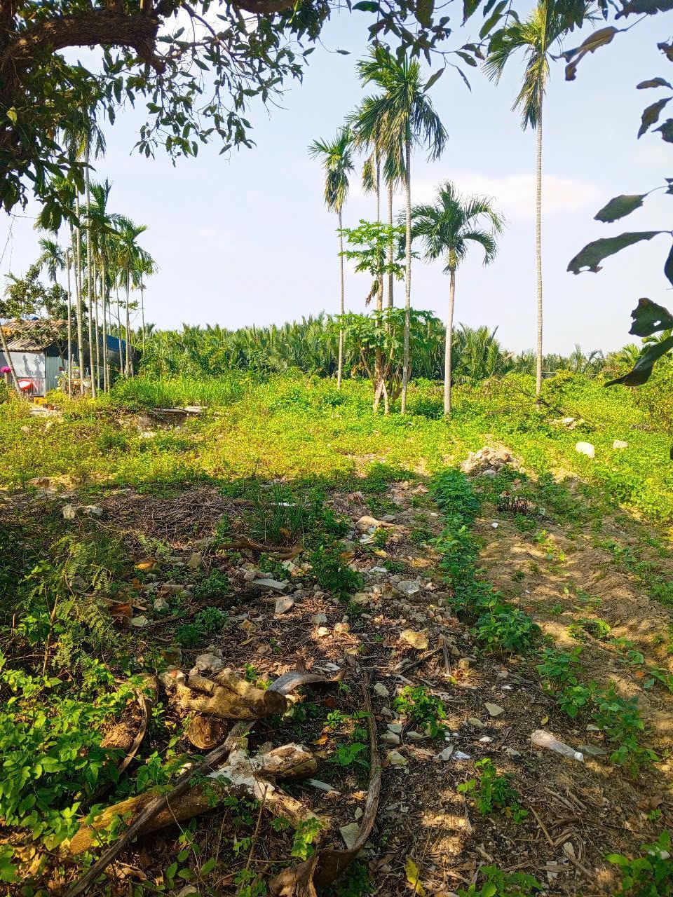 Chủ kẹt tiền cần bán lô đất tại MT đường DX 017 có 1000 m² đất ở., Cẩm Thanh giá 18 tỷ2605851