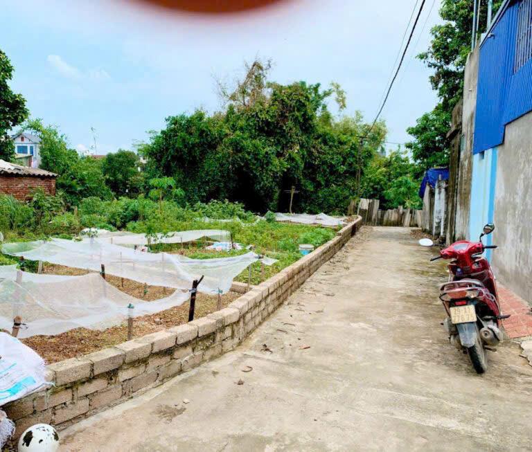 CHÍNH CHỦ BÁN LÔ ĐẤT 47,1M TẠI TRUNG HÒA-CHƯƠNG MỸ-HÀ NỘI2620560