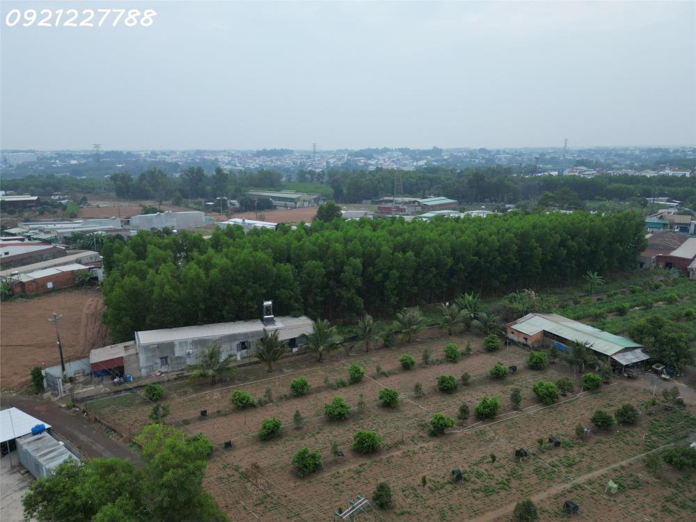 Bán 1000 m²  xã Bình Minh gần ngay QL1A đường nhựa lớn dân cư đông đúc giá chỉ  hơn 2 tỷ2599978