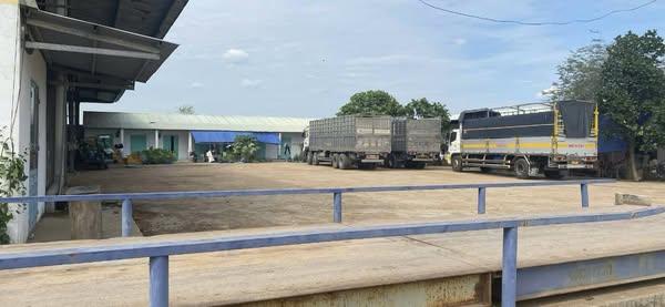CHO THUÊ 10.000M NHÀ XƯỞNG SẢN XUẤT TẠI CHƠN THÀNH BÌNH PHƯỚC2465007