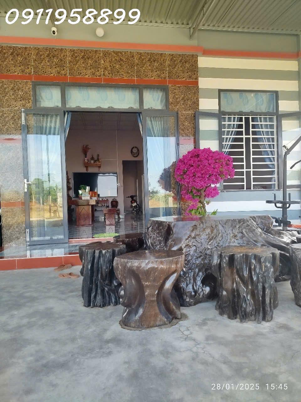 Bán nhà 804m2 Tân Tiến, thị xã LaGi gần Biển giá ngộp 1.5 tỷ2536505