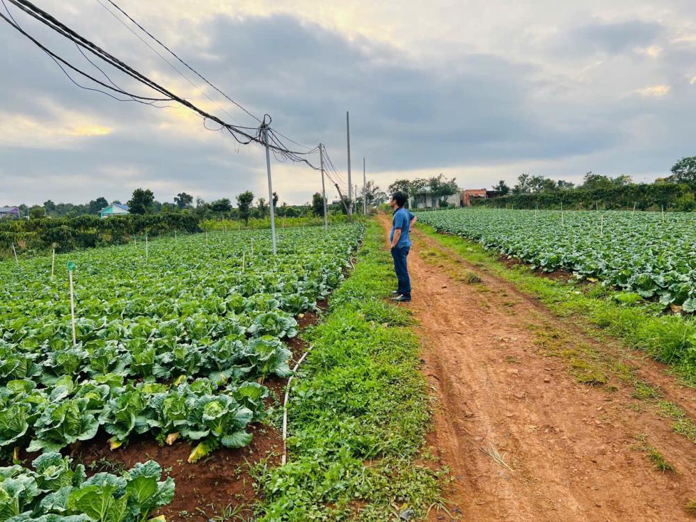 Bán lô đất 2 mặt tiền view hồ Phúc Thọ tại xã Phúc Thọ , huyện Lâm Hà , Lâm Đồng2563026