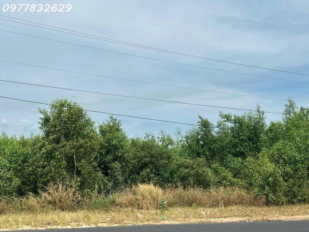 Bán đất NGỘP 3280m2 mặt tiền Hùng Vương, TX LaGi giá rẻ nhất chỉ 2.1 triệu/m2 View Biển2386133