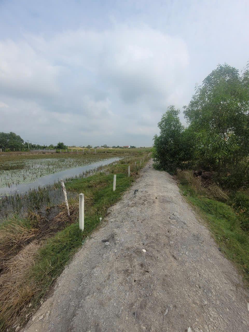 ĐẤT CHÍNH CHỦ - GIÁ TỐT - Cần Bán Lô Đất Vị Trí Đắc Địa Tại An Thới Đông, Huyện Cần Giờ, TP HCM2486849