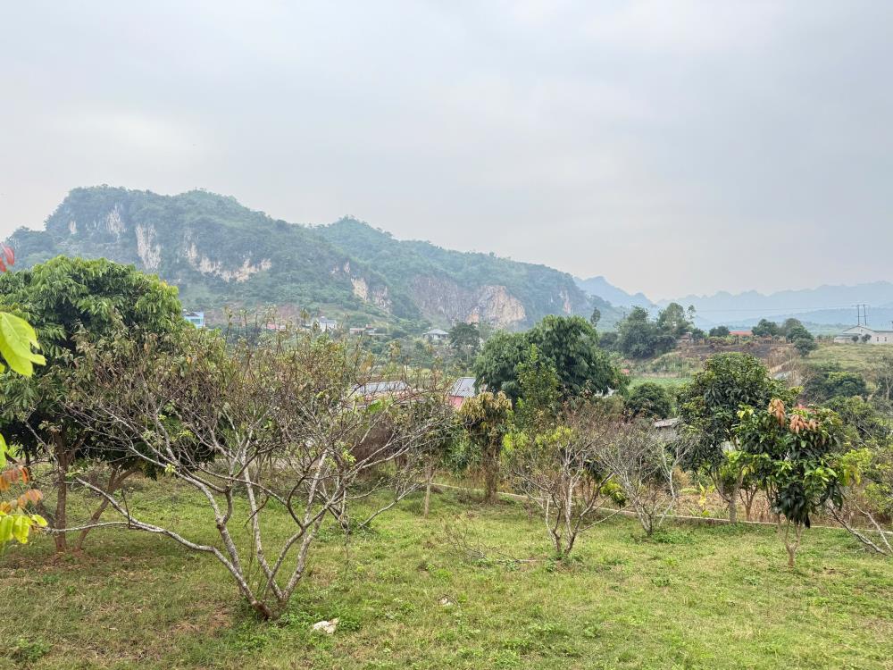 Đất nền Chiềng Sơn thị xã Mộc Châu cần bán cắt lỗ. Vị trí Đắc Địa đất bám suối rất đẹp.2501778