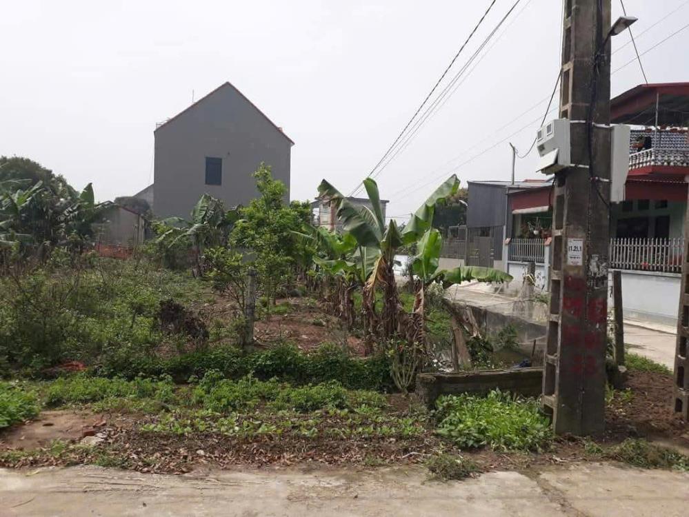HỘI XÁ TÂN QUANG, LÔ GÓC 132M, MẶT TIỀN 6M, GIÁ 1 ĐỒNG 3.2319861