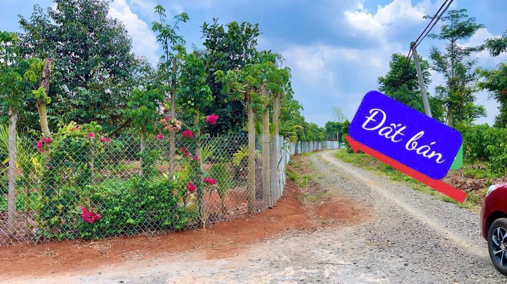 Cực hót chỉ 139tr sở hữu sổ hồng hơn 500m2đất đỏ bazan  vườn đầy cây trái2446999