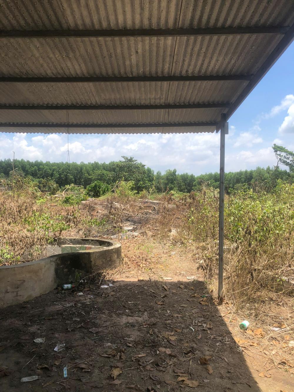 Cần Bán 9898m2 Đất Chính Chủ Tại Ấp 3, xã Phước Bình, Huyện Long Thành, Đồng Nai, Giá Chỉ 20 tỷ.2588243