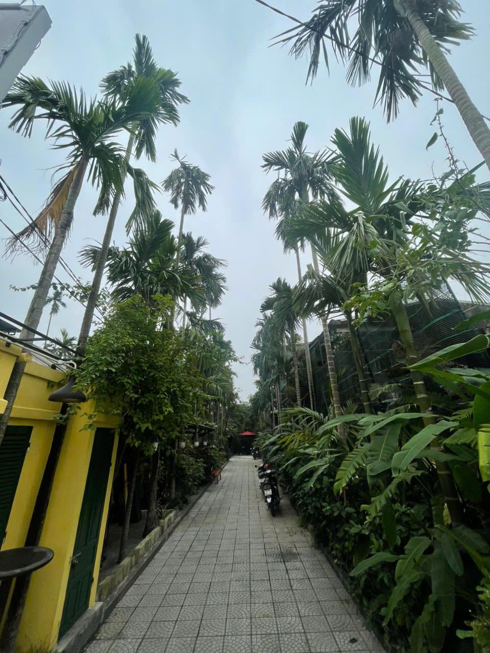 ✅ Cho thuê quán CAFE SÂN VƯỜN Vỹ Dạ Rộng 500m22315203