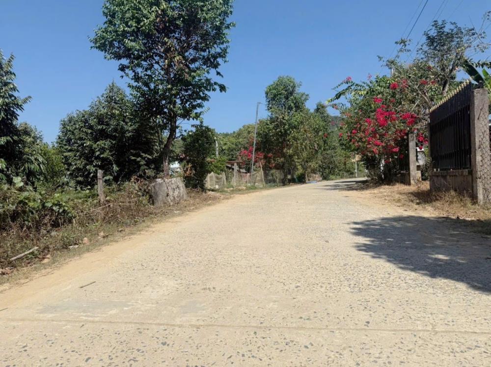 Thị trấn Đạ tẻh- Lâm Đồng lô đất diện tích từ 210m2 sẵn 113m2 đất ở đô thị giá chỉ 289tr quá rẻ để đầu tư2405846