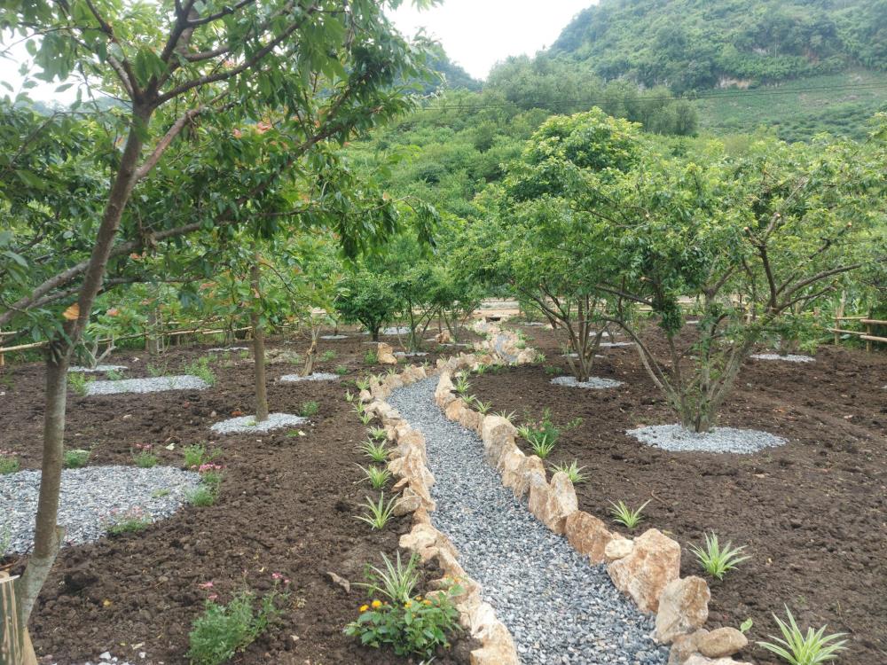 Chỉ 1tr/1m2 cơ hội sở hữu lô đất cạnh cao tốc Hòa Bình Mộc Châu. Phù hợp làm căn nhà nghỉ dưỡng.2523649