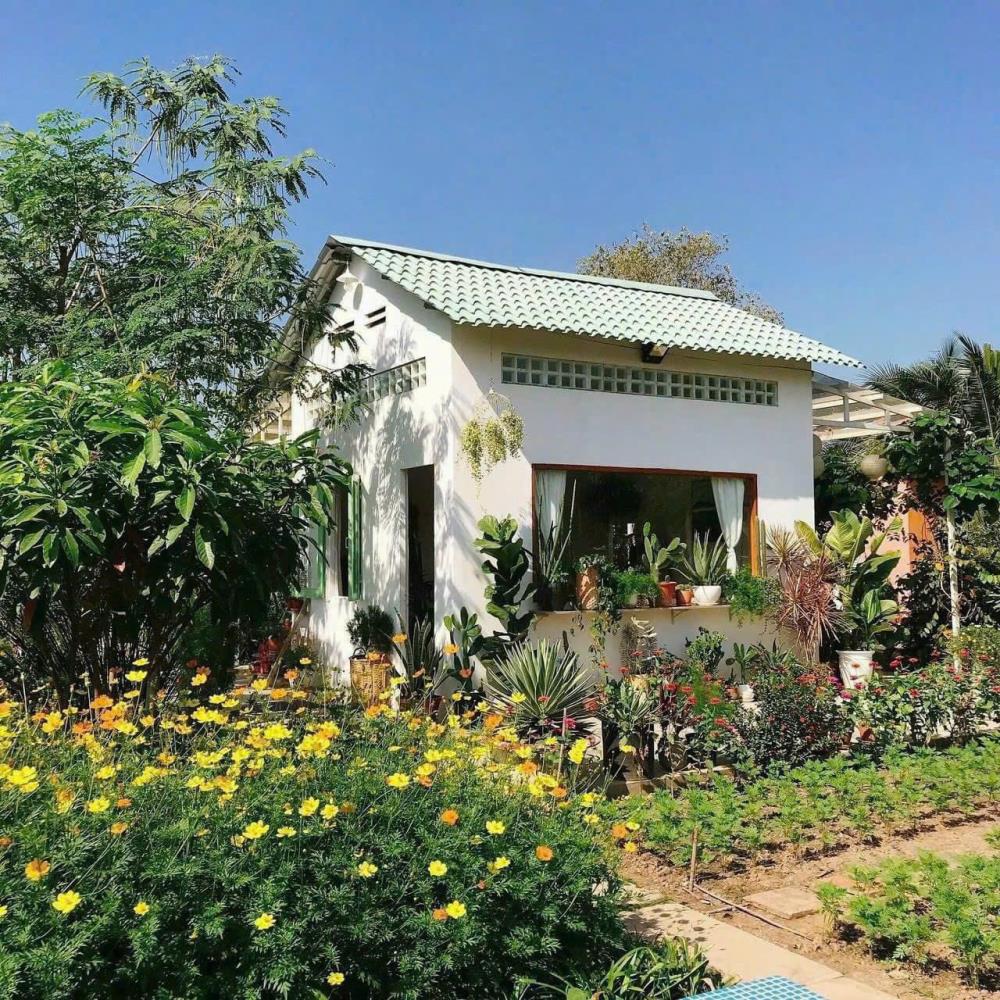 BÁN VƯỜNG CÂY ĂN TRÁI ( HƠN 5000M2 ) 5 SÀO 1,3 TỈ2575352