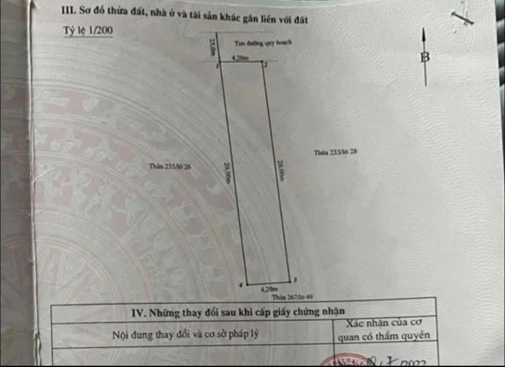 Bán đất mặt đường Bùi Viện - Khu 4 Vĩnh Niệm, 84m, MT 4.2, vỉa hè 5m, GIá 82 tr/m2479275