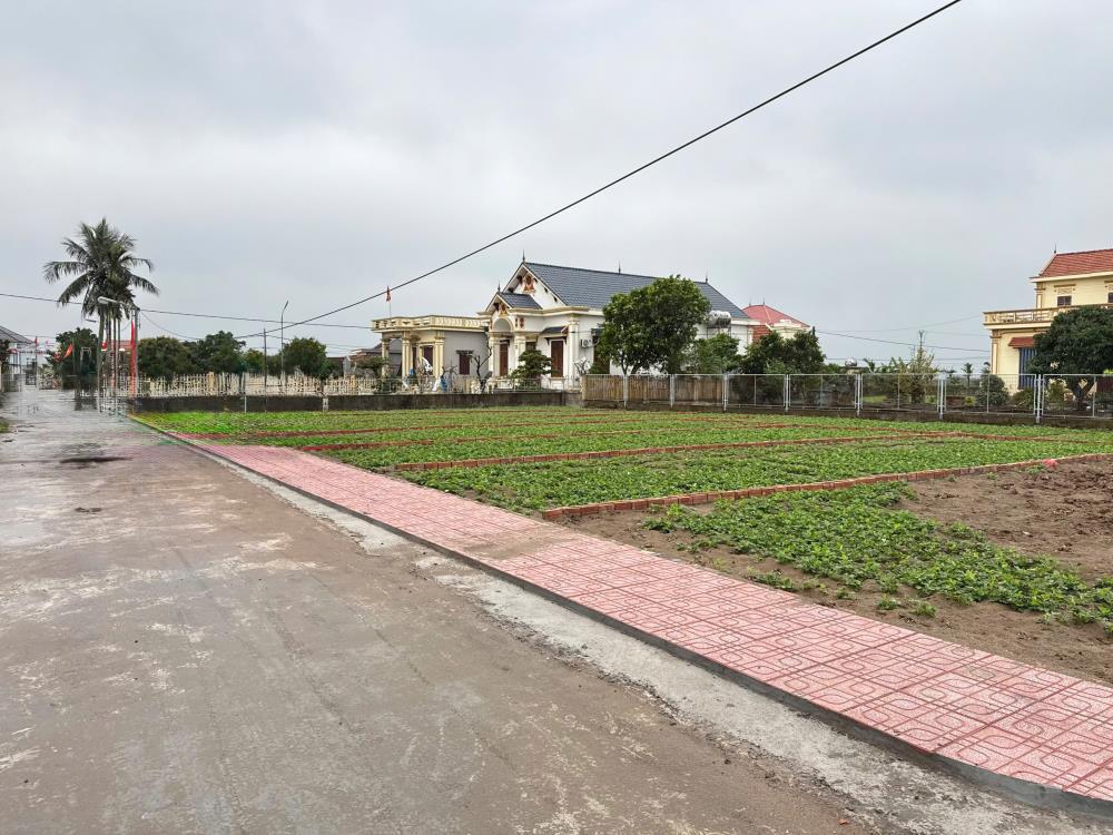 Bán đất trung tâm thị trấn quất lâm gần bãi tắm, quảng trường từ 1 tỷ2589416