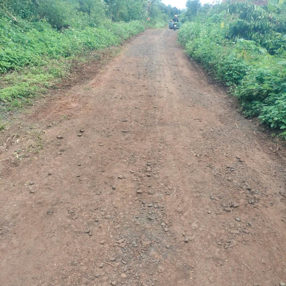 Bình Thuận-Buôn Hồ lô đất 3200m2 full tiêu và cà phê cho thu hoạch mạnh mặt tiền miên man 80m ngang giá chỉ 660tr2476741