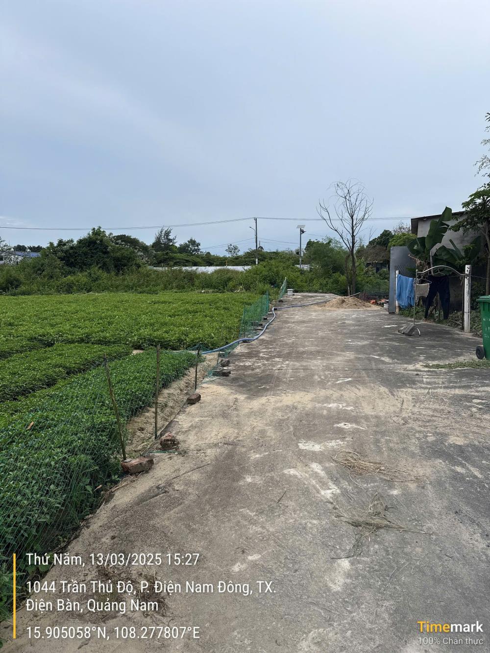 CHỦ KẸT TIỀN CẦN BÁN GẤP 9 LÔ LIỀN LỀ GIÁ 11,5TY THƯƠNG LƯỢNG2610187