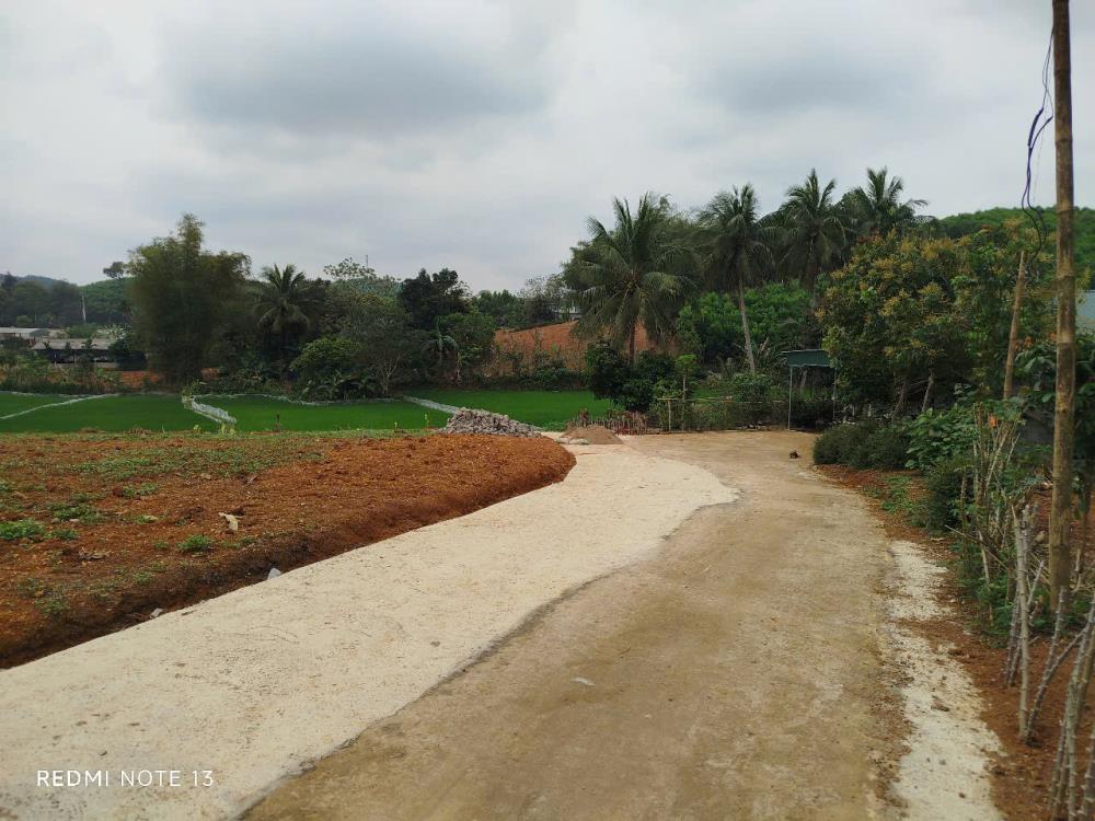 Đất nền cạnh sân bay Sao Vàng Thọ Xuân Thanh Hóa giá rẻ cần bán gấp.2577422