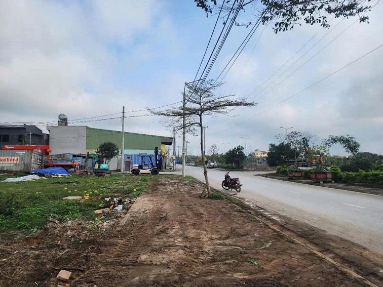 BÁN LÔ GÓC ĐẸP NHẤT  KHU TĐC TÂN THÀNH-HUYỆN VỤ BẢN - NAM ĐỊNH2523235