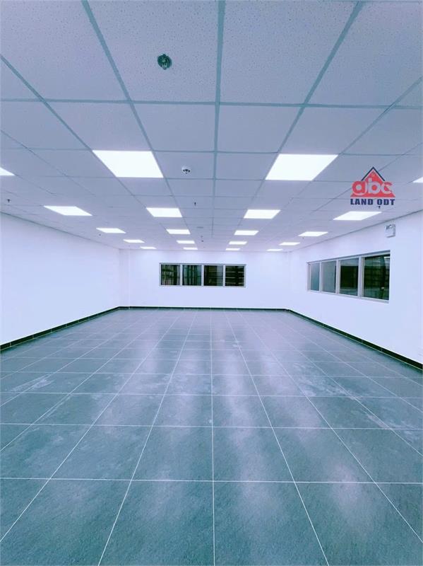 XT005 Kho lưu trữ, vận hành logistic, vị trí thuận lợi, sân bãi rộng cont chờ xuất nhập2399494